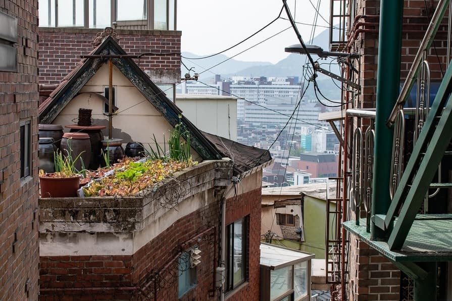 Blick auf Dachterrasse mit Hochbeet